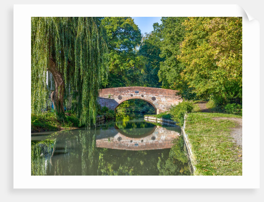 Canal in countryside by Assaf Frank